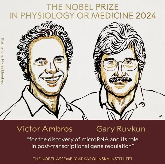 2024年諾貝爾生理學或醫(yī)學獎獲獎?wù)?，Victor Ambros和Gary Ruvkun